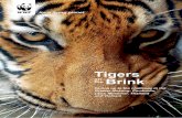 Tigers the Brink - WWF