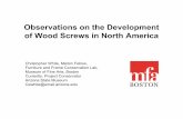 Observations on the Development of Wood Screws in North America