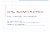 Words, Meanings and Emotions