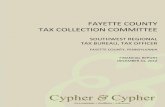 2012 Fayette County TCC Audit Report - Swrtb.org