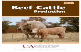Beef Cattle Production MP184 - University of Arkansas Cooperative