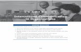 11. Intercultural Communication in Organizations - Sage Publications