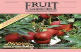David Karp's Blood Orange Article - California Citrus Specialties