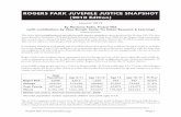 ROGERS PARK JUVENILE JUSTICE SNAPSHOT - Chicago Youth