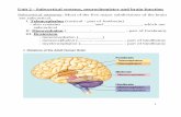Subcortical systems, neurochemistry and brain function Subcortical anatomy