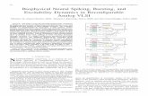Biophysical Neural Spiking, Bursting, and - CNL Publications