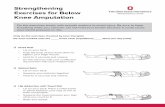 Strengthening Exercises - Below Knee Amputation - Patient