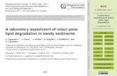 A laboratory experiment of intact polar lipid degradation - BGD