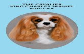 THE CAVALIER KING CHARLES SPANIEL - American Kennel Club