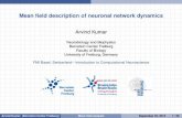 Mean field description of neuronal network dynamics - FMI