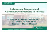 Laboratory Diagnosis of Coronavirus Infections in Ferrets Laboratory