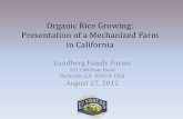 Organic Rice Growing: Presentation of a Mechanized Farm in ...