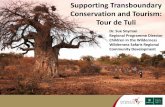 Conservation and Tourism: Tour de Tuli