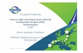 European Roadmap Future Light and Heavy Duty Internal ...