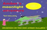 Amber's Moonlight Adventure By Guy Bullock