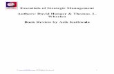 Chapter 1: basics concepts of strategic management - Biotech