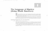 The Language of Algebra (Using Whole Numbers)