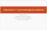 Infections in haematological patients
