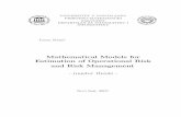 Mathematical Models for Estimation of Operational Risk and Risk