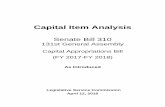 Capital Item Analysis
