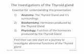 Thyroid Gland Testing - LASSEN NIELSEN