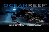 Our Vision - OCEAN REEF Group