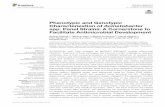 Phenotypic and Genotypic Characterization of Acinetobacter ...