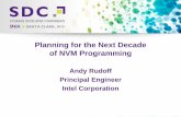 Planning for the Next Decade of NVM Programming
