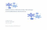 WinterCity Strategy Consultation Summary - City of Edmonton