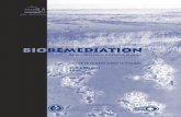 Bioremediation of Metals and Radionuclides - Subsurface