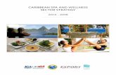 Caribbean Spa and Wellness Strategy (2014-2018) Prepared by