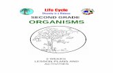 Second grade organisms - Math/Science Nucleus