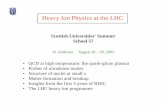 Lectures on Heavy Ion Physics at the LHC - Duke Physics