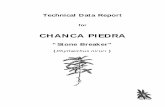 Chanca Piedra (Phyllanthus niruri