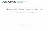 Strategic Gap Assessments - A Primer for Risk Managers