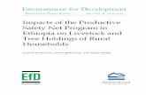 Impacts of the Productive Safety Net Program in Ethiopia on - DiVA