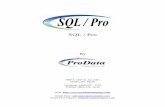 SQL/Pro Documentation