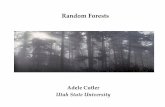 Visualizing Random Forests - Utah State University