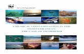 chemical contamination in the mediterranean: the case of swordfish