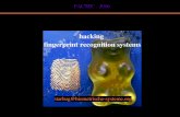 hacking fingerprint recognition systems - PacSec