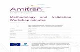 Methodology and Validation Workshop minutes - Amitran