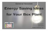 Energy Saving Ideas for Your Box Plant