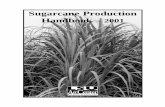 Sugarcane Production Handbook - The LSU AgCenter