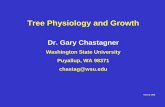 Tree Physiology and Growth Dr. Gary Chastagner Washington State
