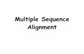 Multiple Sequence Alignment - EMBnet node Switzerland