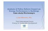 Analysis of Policy Reform Impact on Energy Performance in