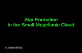 Star Formation in the Small Magellanic Cloud