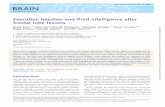 Executive function and fluid intelligence after frontal lobe - Brain