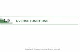 1.9 INVERSE FUNCTIONS - Utep