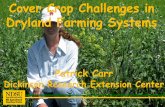 Cover Crop Challenges in Dryland Farming Systems